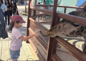 muere jirafa del zoológico de Nuevo Laredo