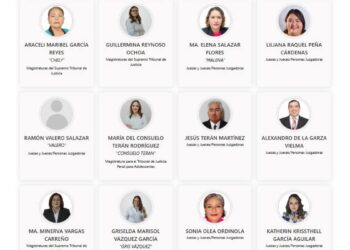 plataforma Conóceles IETAM