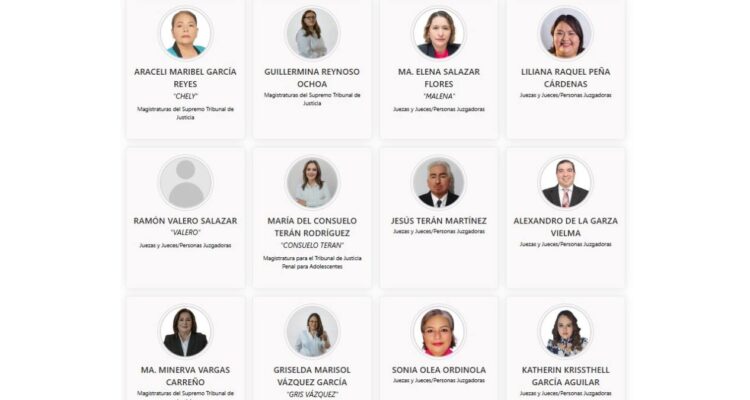 plataforma Conóceles IETAM