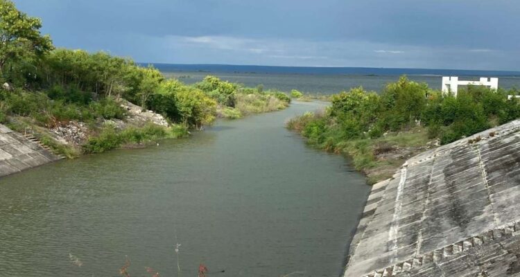 presa vicente guerrero tamaulipas