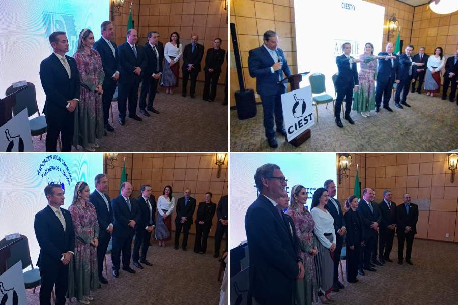 presidente del ciest