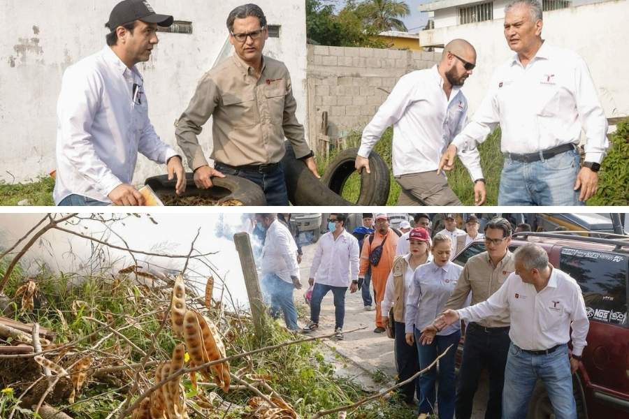 prevención de dengue en Ciudad Madero