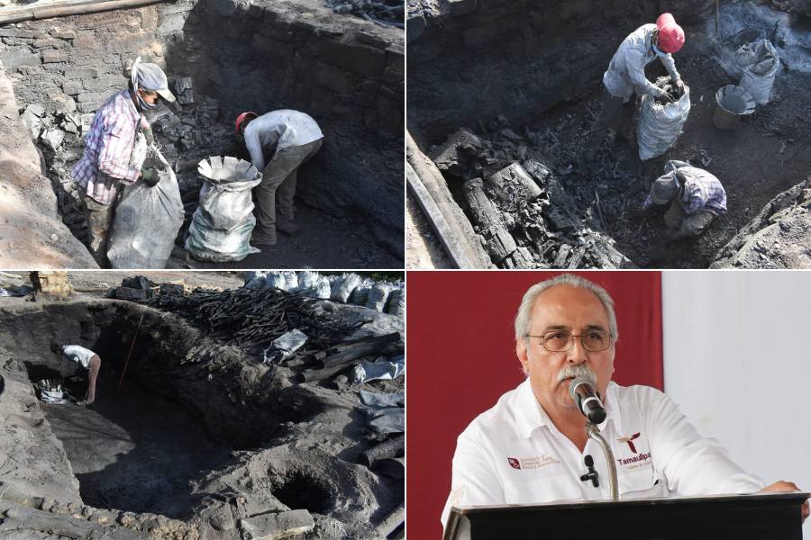 producción de carbón en Tamaulipas