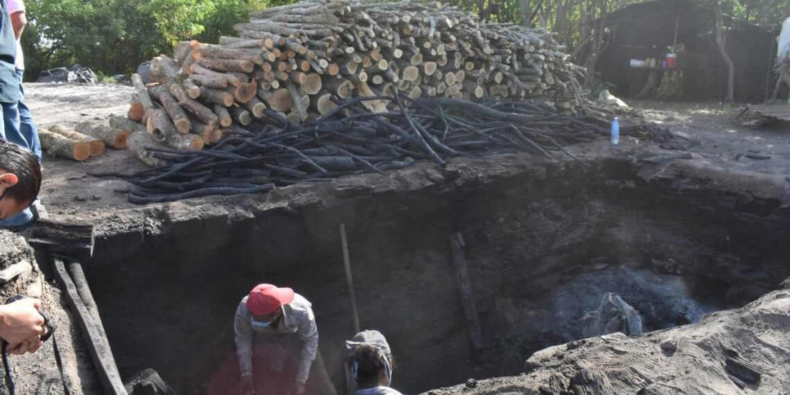 producción de carbón en Tamaulipas