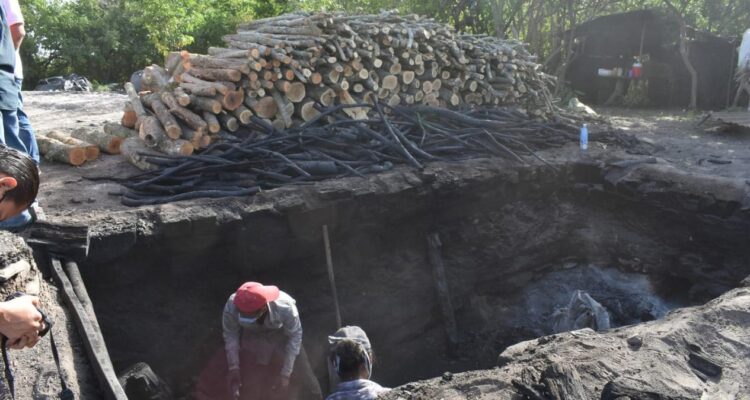 producción de carbón en Tamaulipas