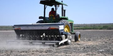 productores de arroz del sur de Tamaulipas