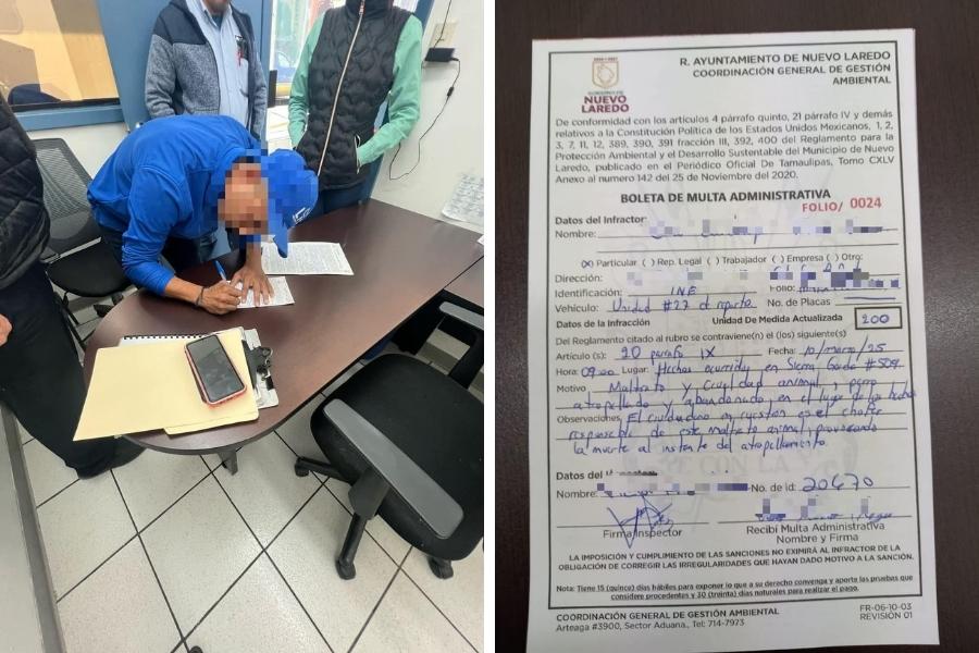 protección animal en nuevo laredo