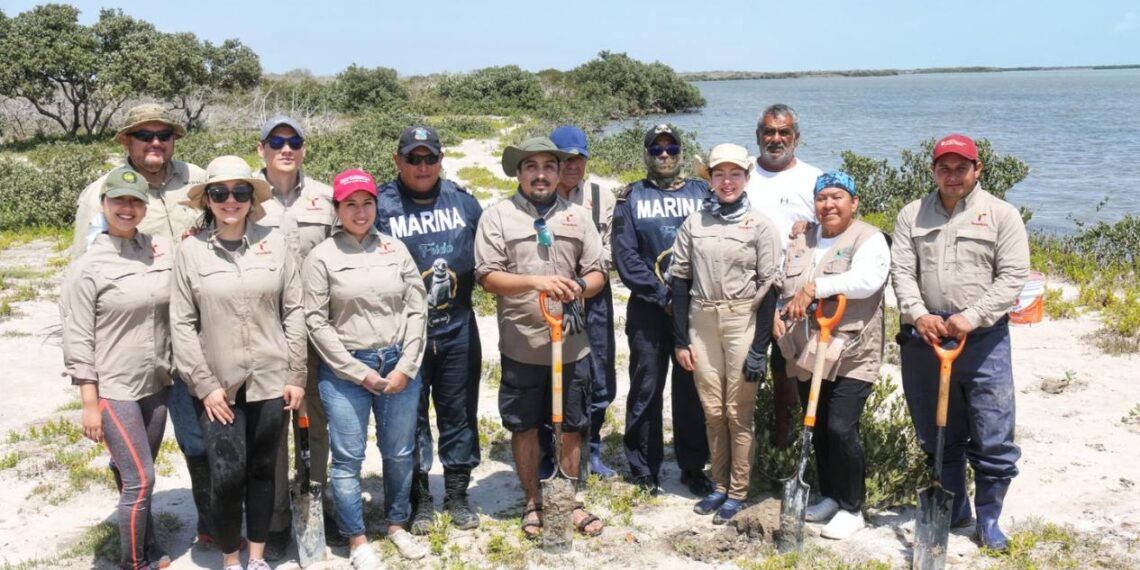 reforestación en La Laguna Morales