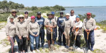 reforestación en La Laguna Morales