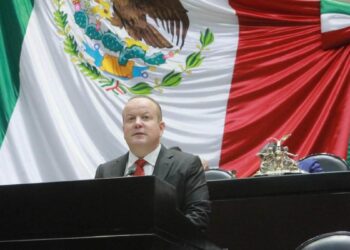 reforma el artículo 19 en México