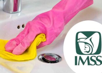 registrar persona IMSS