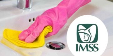 registrar persona IMSS