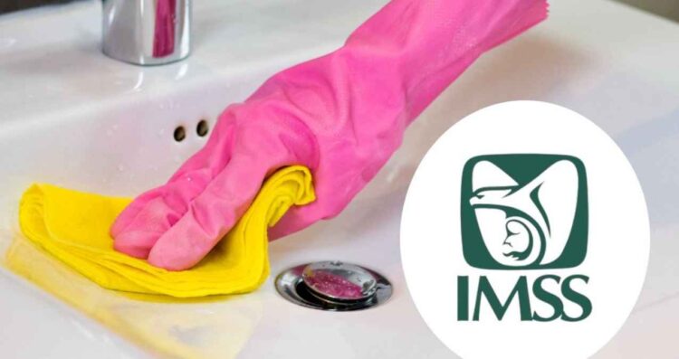 registrar persona IMSS
