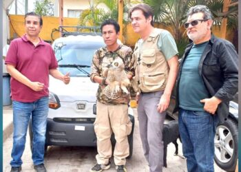 rescate de un búho en Ciudad Victoria