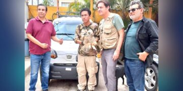 rescate de un búho en Ciudad Victoria