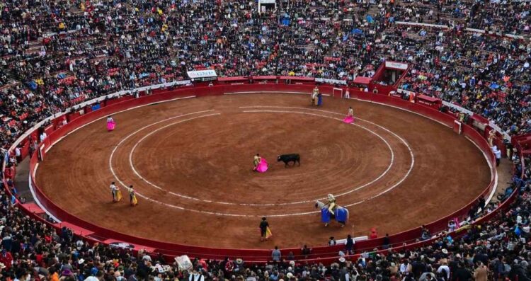 ¿Continuarán las corridas de toros en la Ciudad de México?