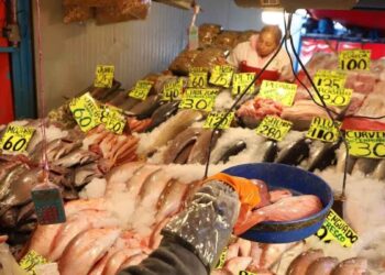 ¿Dónde comprar pescados y mariscos más baratos durante la Cuaresma Esto recomienda Profeco