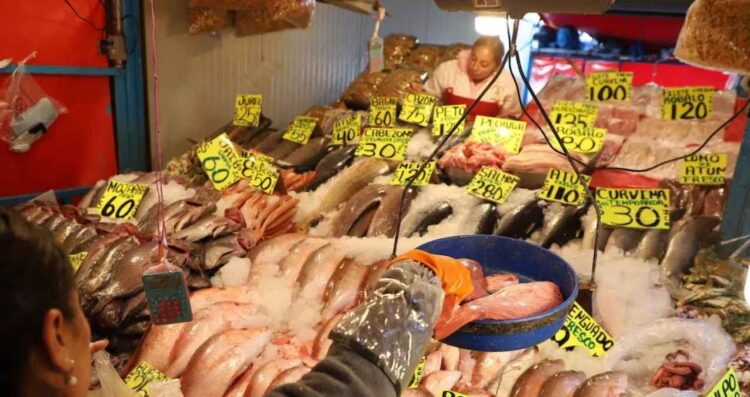 ¿Dónde comprar pescados y mariscos más baratos durante la Cuaresma Esto recomienda Profeco