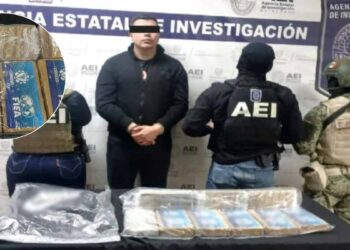 En estos estados se dio un golpe al crimen organizado
