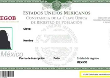 ¿La CURP incluirá huellas y foto; así cambiará tu nueva identificación oficial