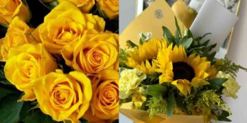 ¿Qué día de marzo se regalan Flores Amarillas y cuál es su significado?