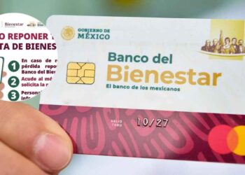 ¿Qué hacer para reponer tu Tarjeta del Bienestar en caso de perderla? Secretaría del Bienestar revela detalles