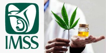 Este es el medicamento a base de cannabis que da el IMSS