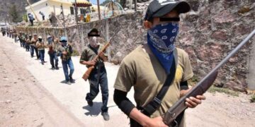 Senado activistas reclutamiento Menores