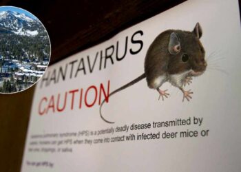 ¿Cuántas muertes hay en California por el hantavirus?