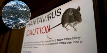 ¿Cuántas muertes hay en California por el hantavirus?