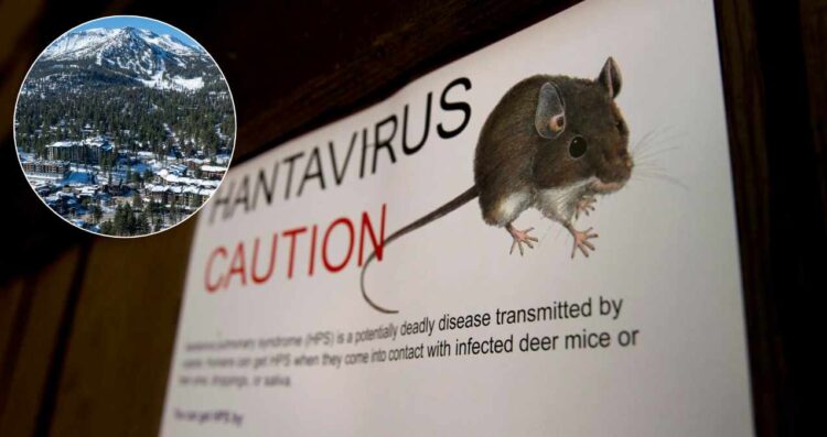 ¿Cuántas muertes hay en California por el hantavirus?