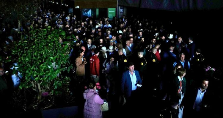¿Cómo ha afectado y cuánto tiempo durará el apagón en España?