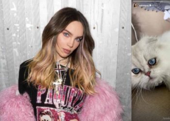Belinda pide ayuda para encontrar a su gatito Glen