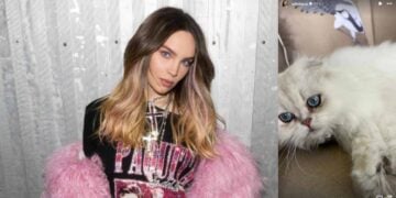 Belinda pide ayuda para encontrar a su gatito Glen