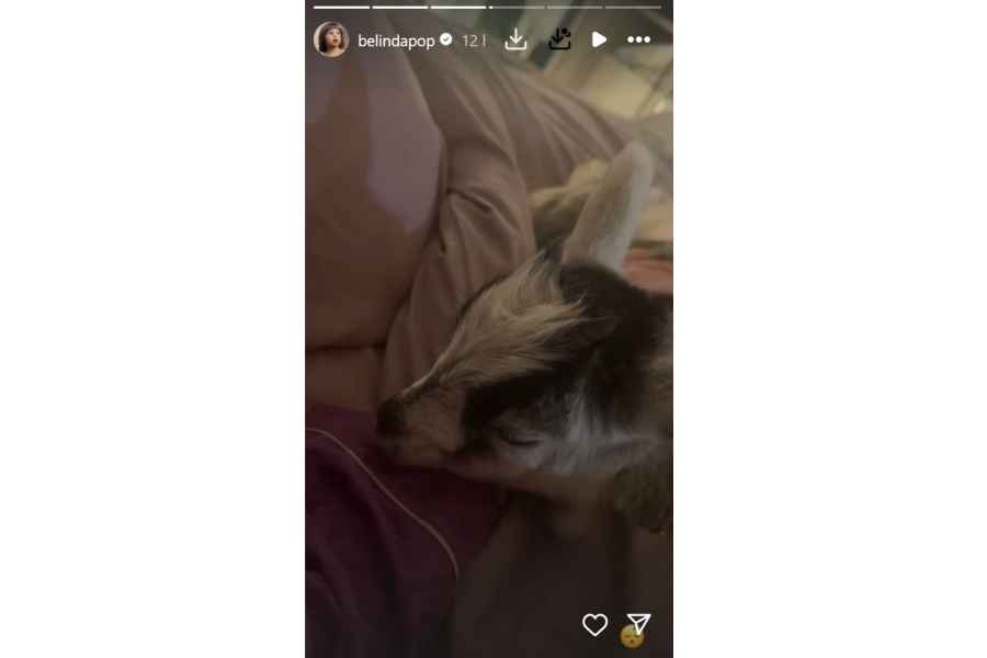 Belinda presenta a sus fanáticos a la nueva integrante de su familia
