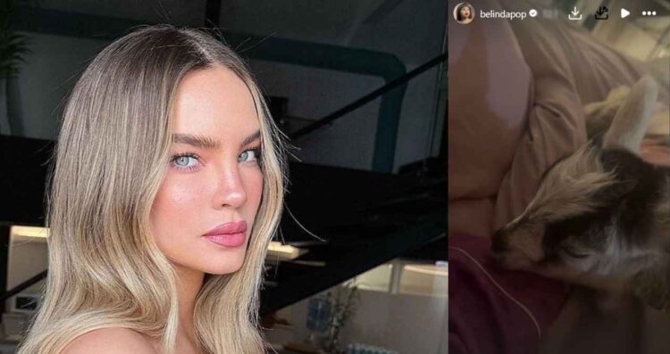 Belinda presenta a sus fanáticos a la nueva integrante de su familia
