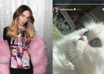 Belinda recupera a su gato Glen tras semanas desaparecido