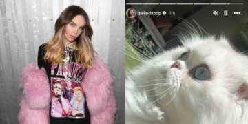Belinda recupera a su gato Glen tras semanas desaparecido