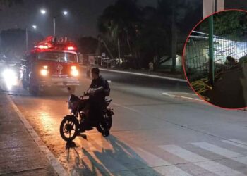 Capturan a cocodrilo de tres metros en el bulevar Perimetral de Tampico, Tamaulipas