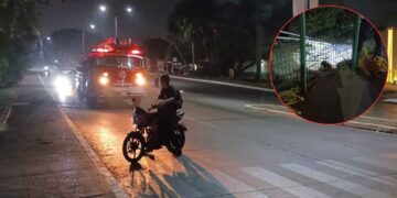 Capturan a cocodrilo de tres metros en el bulevar Perimetral de Tampico, Tamaulipas