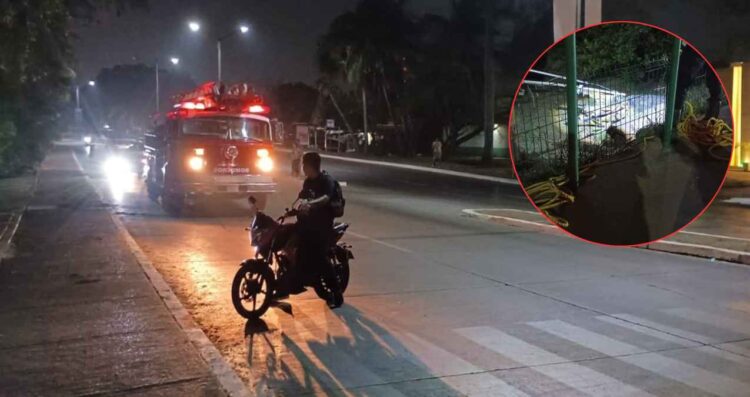 Capturan a cocodrilo de tres metros en el bulevar Perimetral de Tampico, Tamaulipas