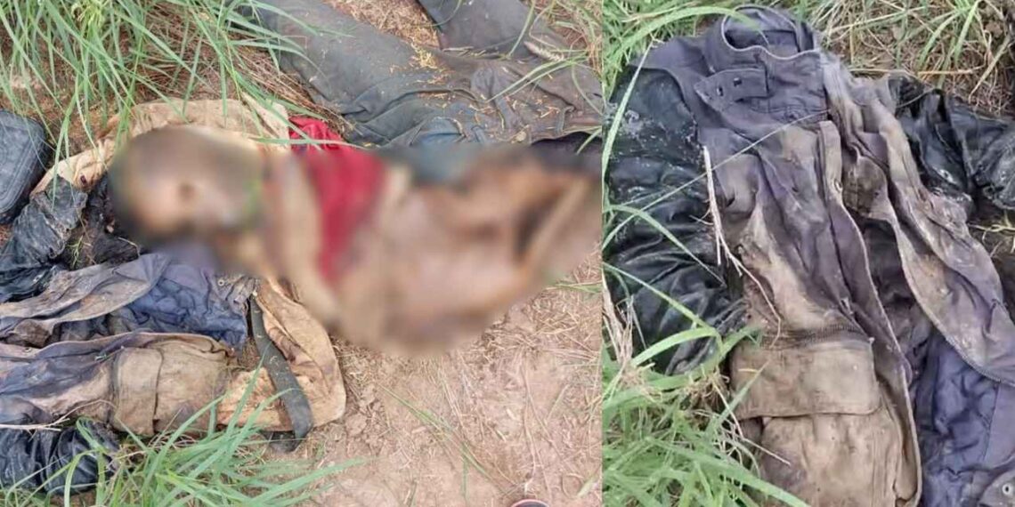 Colectivo Amor por los Desaparecidos en Tamaulipas hallan restos de una mujer en Reynosa