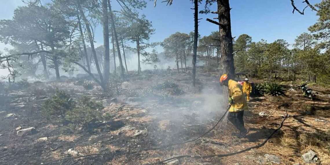 Combaten dos incendios forestales en la sierra de Galeana, NL