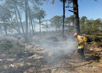 Combaten dos incendios forestales en la sierra de Galeana, NL