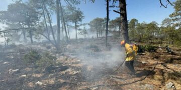 Combaten dos incendios forestales en la sierra de Galeana, NL