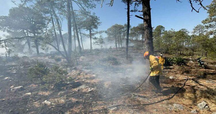 Combaten dos incendios forestales en la sierra de Galeana, NL