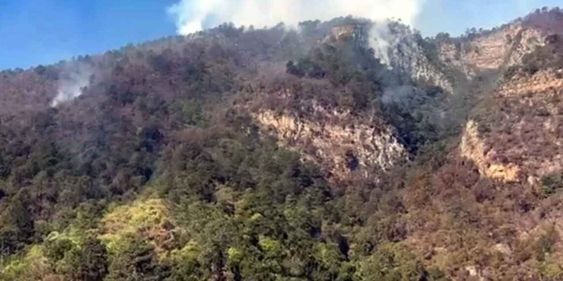 Combaten incendio forestal en la Sierra de Aramberri, Nuevo León
