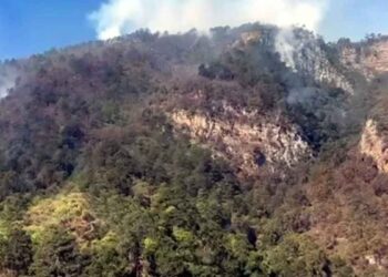 Combaten incendio forestal en la Sierra de Aramberri, Nuevo León