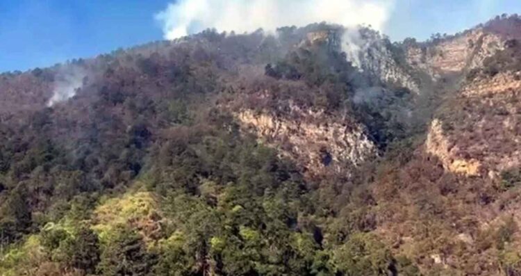 Combaten incendio forestal en la Sierra de Aramberri, Nuevo León