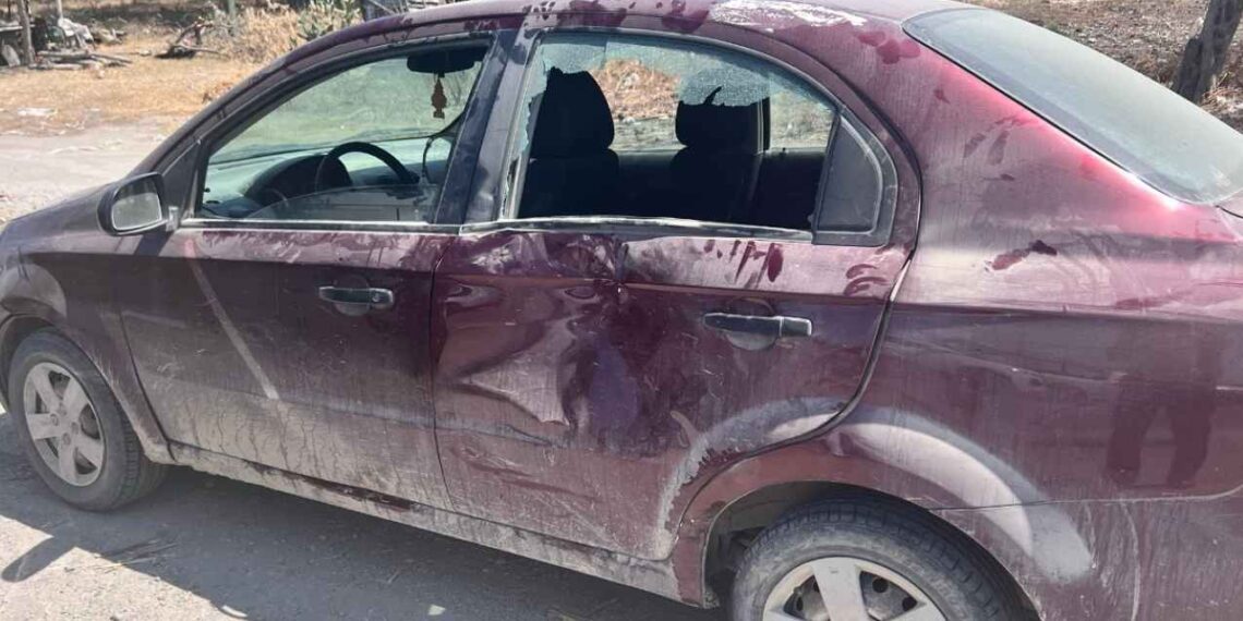 Dama lesionada Mante-Tampico